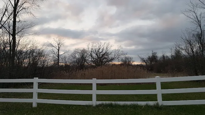 Meadowlands Picture 5