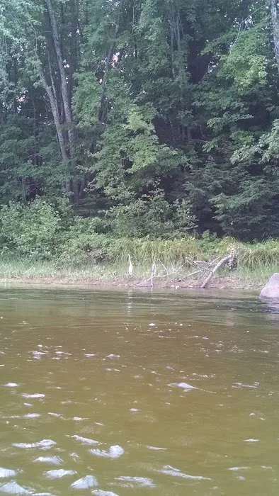 Fiddlehead Campground Picture 10