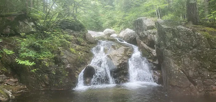 Toad Hill Picture 3