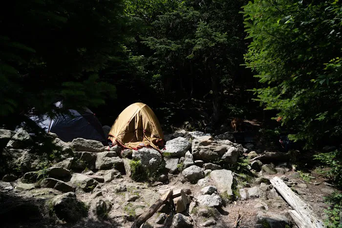 Valley Way Tentsite Picture 3