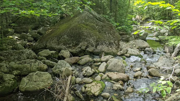 Valley Way Tentsite Picture 7