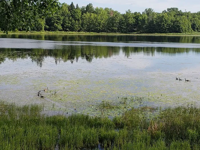 Colby Lake Home Sales/Quiet Cove Park Picture 1