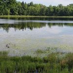 Colby Lake Home Sales/Quiet Cove Park