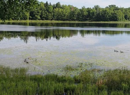 Colby Lake Home Sales/Quiet Cove Park