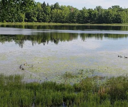Colby Lake Home Sales/Quiet Cove Park