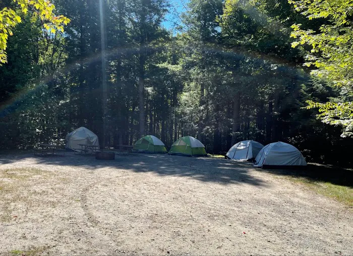 Barnes Field Group Campground Picture 9