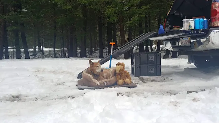 Barnes Field Group Campground Picture 3