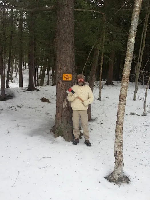 Barnes Field Group Campground Picture 6