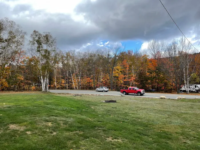 White Birches Camping Park Picture 4
