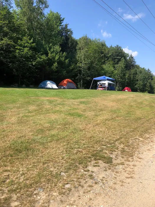White Birches Camping Park Picture 8