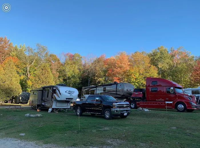 White Birches Camping Park Picture 5