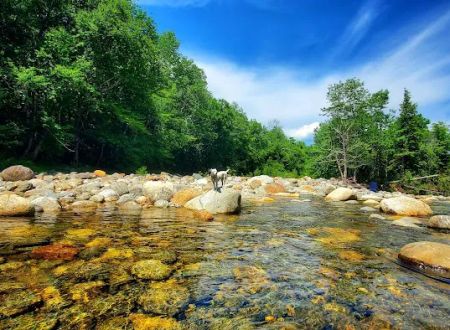 Dolly Copp Campground