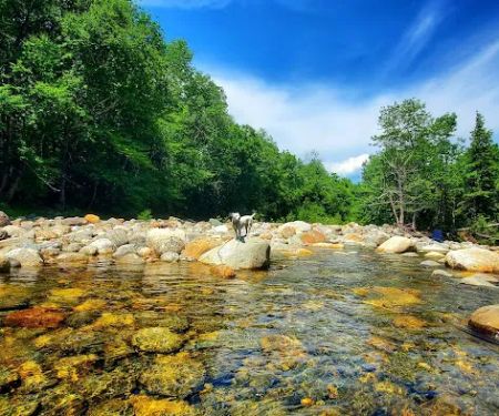 Dolly Copp Campground