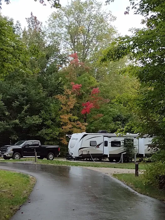 Dolly Copp Campground Picture 4