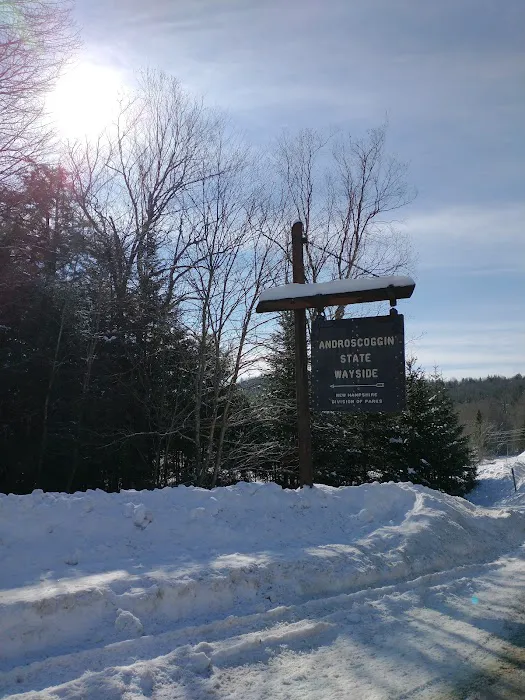 Mollidgewock State Park Campground Picture 9