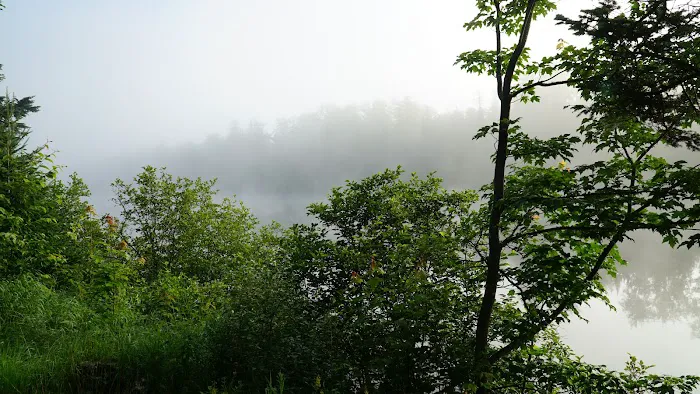 Mollidgewock State Park Campground Picture 4