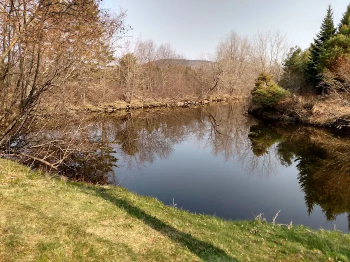 Clear Stream Campground Picture 3