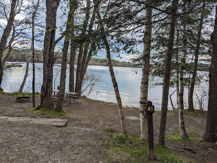 Umbagog Lake State Park Campground Picture 10