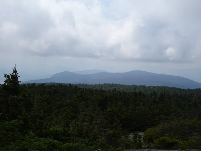 Gentian Pond Shelter Picture 2