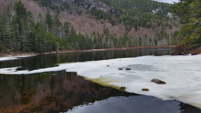 Gentian Pond Shelter Picture 5
