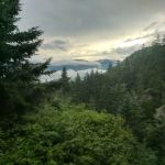 Gentian Pond Shelter