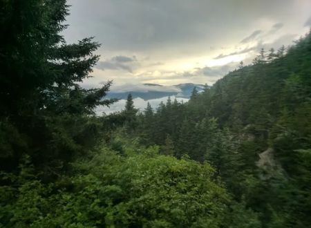 Gentian Pond Shelter