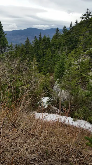 Gentian Pond Shelter Picture 7