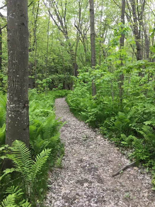 Timberland Campground Picture 9