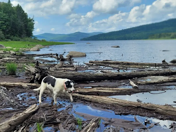 Black Brook Cove Campground Picture 7