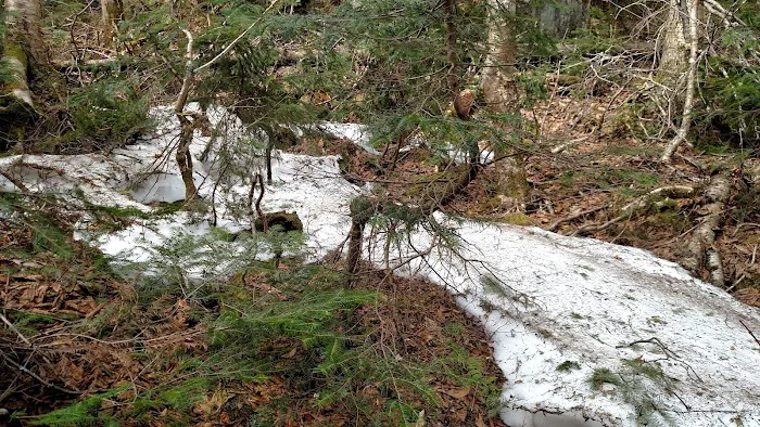 Black Brook Cove Campground Picture 9