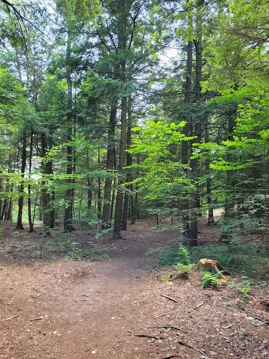 High Falls Park Campground Picture 9