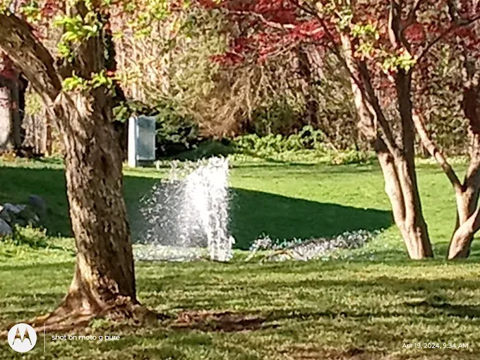 Brookshire Meadows Picture 3