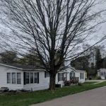 Maple Grove