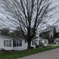 Maple Grove ico