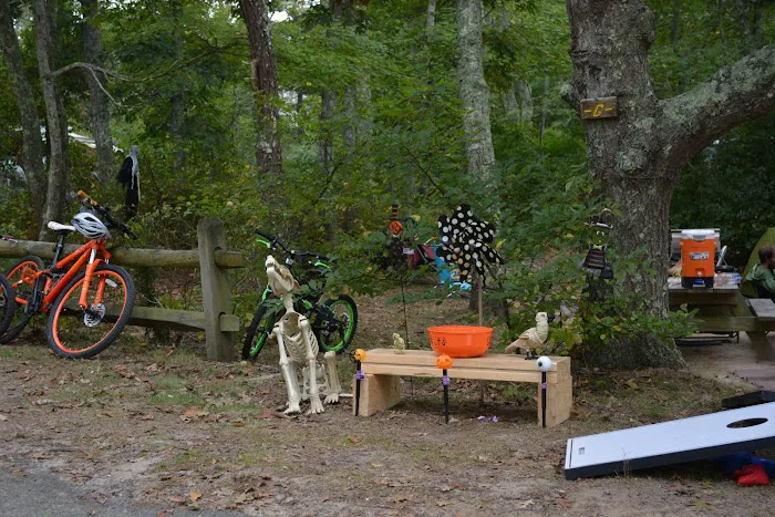 Sweetwater Forest Cape Cod Family Campground Picture 3