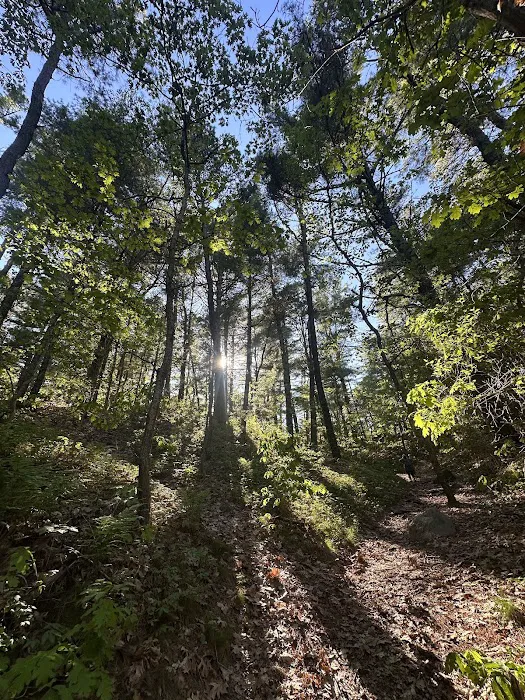 Nickerson State Park - Area 4 Picture 8