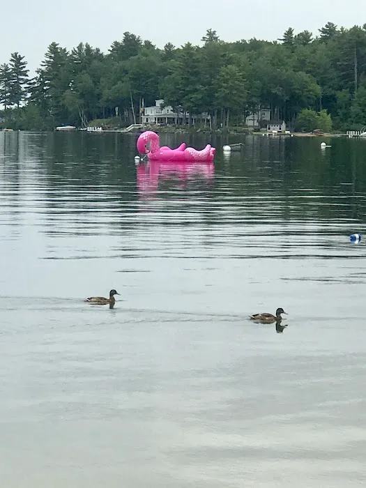 Nason's Beach & Campground Picture 6