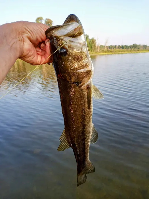 Three Mile Lake Mobile Home Park Picture 1