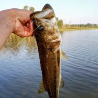 Three Mile Lake Mobile Home Park ico