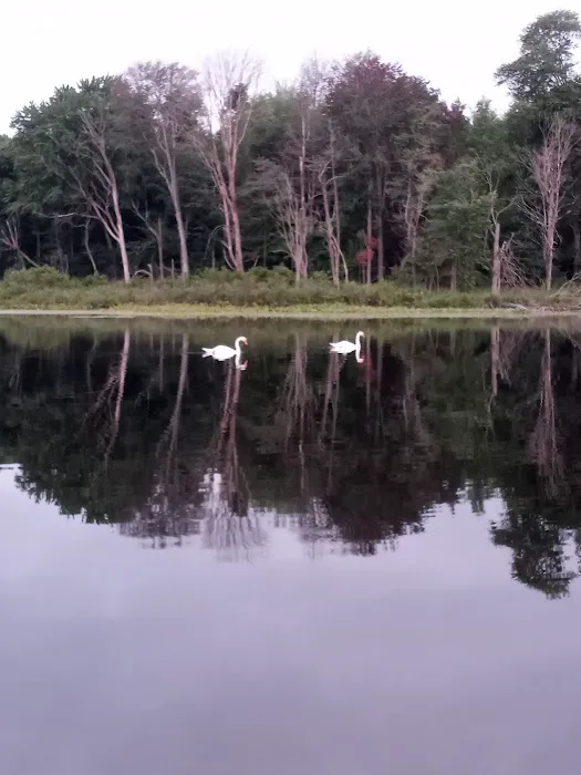 Three Mile Lake Mobile Home Park Picture 6