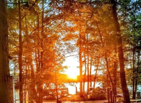 Loon's Haven Family Campground
