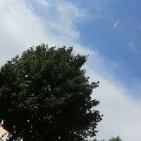 Country Holiday Estates ico
