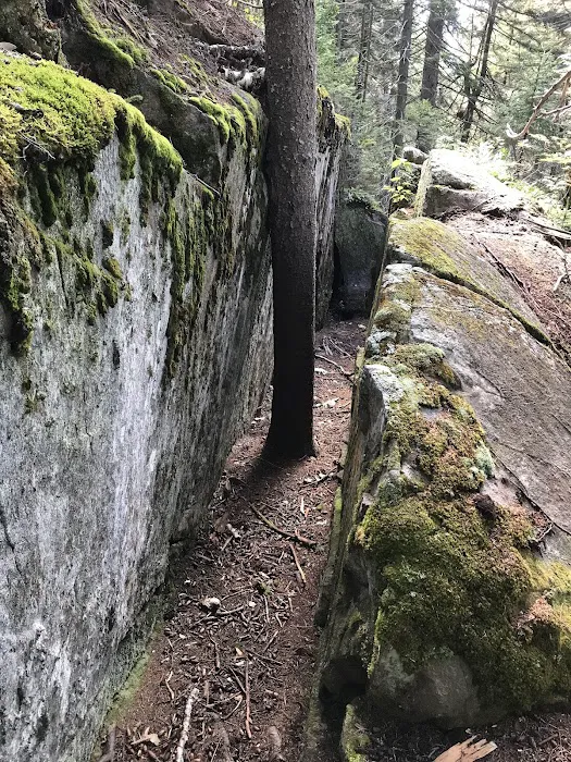 Pleasant Mountain Camping Area Picture 5