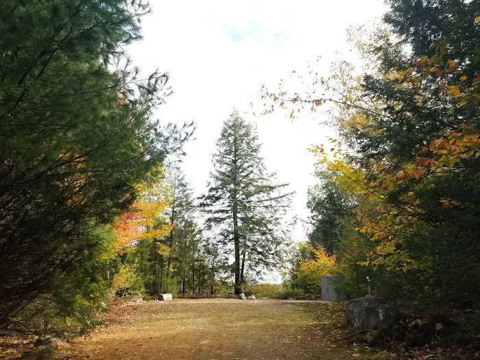 Bridgton Marina Campground Picture 5