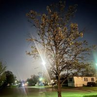 Deer Trace Pointe Mobile Home Park ico
