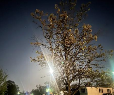 Deer Trace Pointe Mobile Home Park
