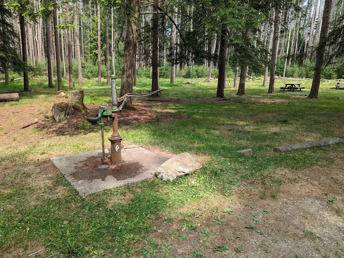 Cook Forest Group Sites Picture 6