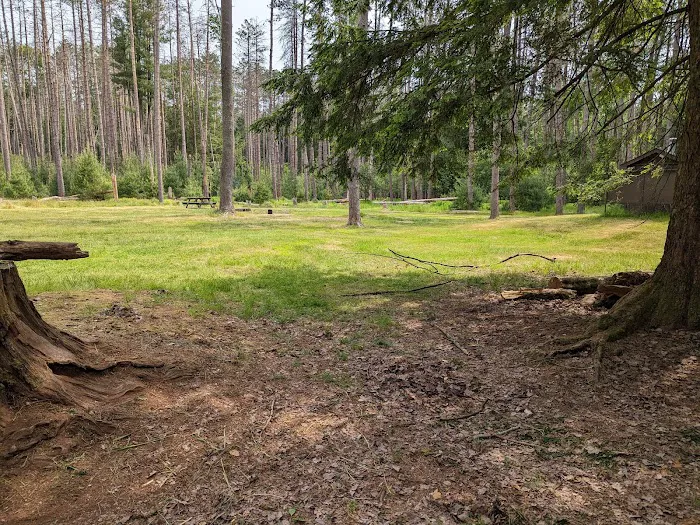 Cook Forest Group Sites Picture 4