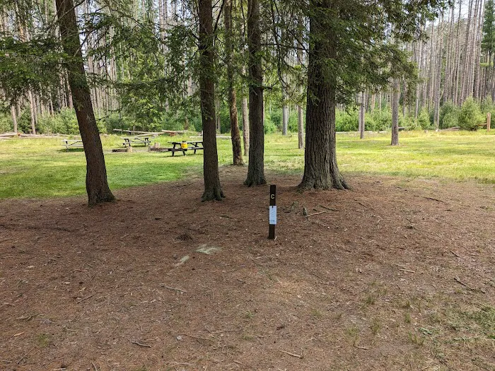 Cook Forest Group Sites Picture 7