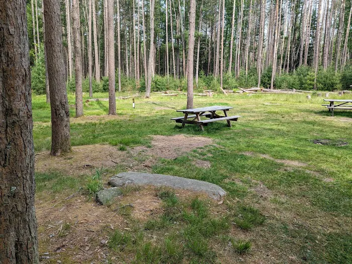 Cook Forest Group Sites Picture 5